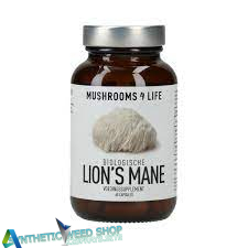 Lion’s Mane Extract By Foodsporen® – 60 Capsules