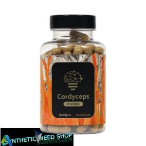 Buy Cordyceps Extract – 120 Capsules