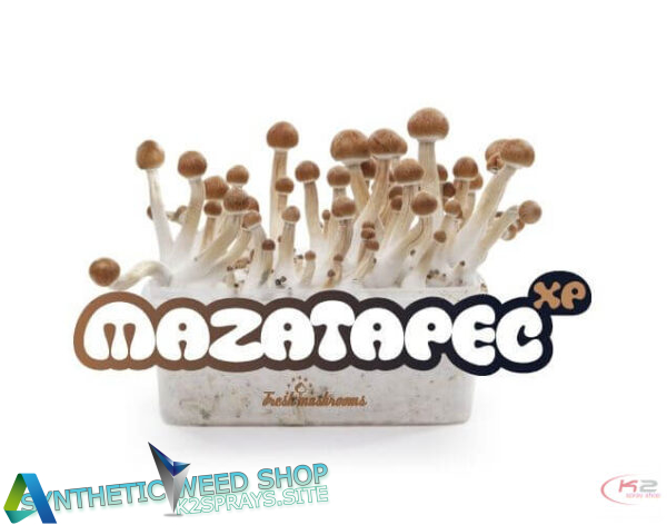 Buy Mazatapec grow kit