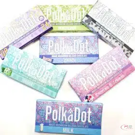 Buy PolkaDot Pomegranate online